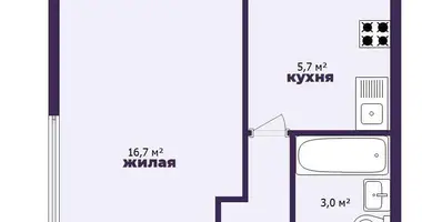 1 room apartment in Minsk, Belarus