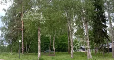 Plot of land in poselenie Schapovskoe, Russia
