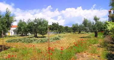 Terrain dans gerakine, Grèce