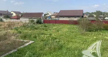 Działka w Muchaviecki sielski Saviet, Białoruś