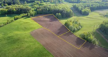 Plot of land in Puzinava, Lithuania