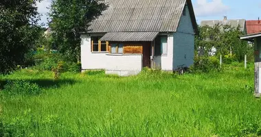 House in Jzufouski sielski Saviet, Belarus