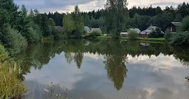 Maison dans Jzufouski siel ski Saviet, Biélorussie