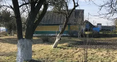 House in Harodzkauski sielski Saviet, Belarus