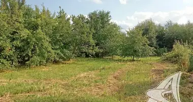 Terrain dans Brest, Biélorussie