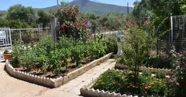 Terrain dans Skala Kallirachis, Grèce