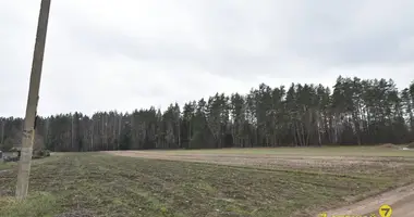 Plot of land in Piekalin, Belarus