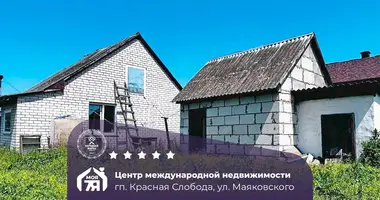 House in Cyrvonaja Slabada, Belarus