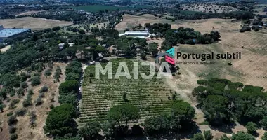 Plot of land in Torres Novas, Portugal