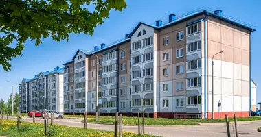 Wohnung 1 Zimmer in Usda, Weißrussland