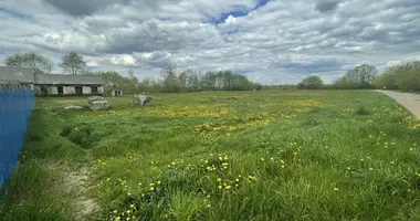 Nieruchomości komercyjne 60 m² w Nowy Świerżeń, Białoruś