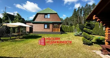 House in Parecki sielski Saviet, Belarus