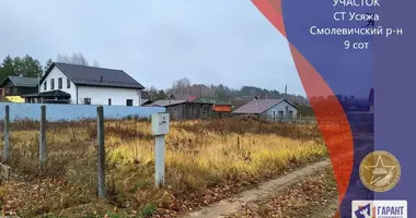 Plot of land in Piekalinski sielski Saviet, Belarus