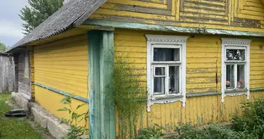 Dom w Dzieraunouski sielski Saviet, Białoruś