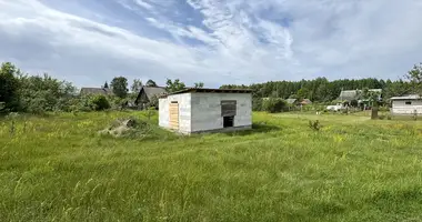 Plot of land in Mikalajeuscynski sielski Saviet, Belarus
