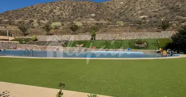 1 bedroom apartment in Palm Mar Arona, Spain