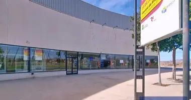 Warehouse 463 m² in Sant Vicent del Raspeig San Vicente del Raspeig, Spain