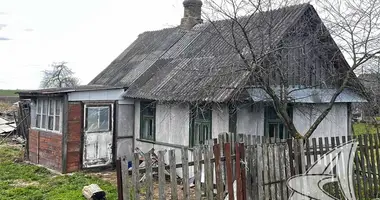 House in carnaucycki sielski Saviet, Belarus