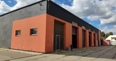 Manufacture 2 412 m² in Haradzisca, Belarus