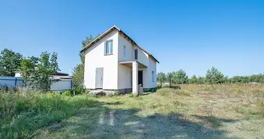 House in Turynski sielski Saviet, Belarus