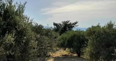 Plot of land in Mirtia, Greece