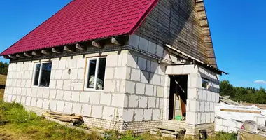 House in Usha, Belarus