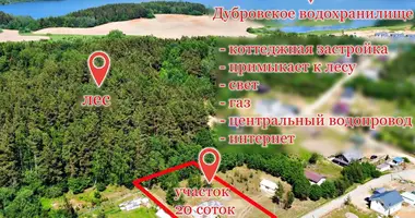 Plot of land in Aziaryckaslabadski sielski Saviet, Belarus