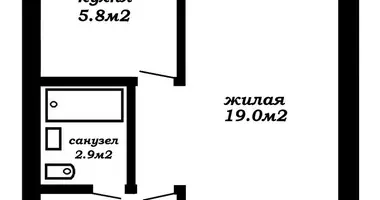 1 room apartment in Minsk, Belarus