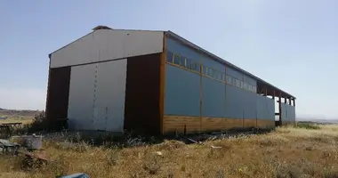 Warehouse 900 m² in Dali, Cyprus