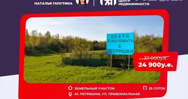 Plot of land in Pyatryshki, Belarus