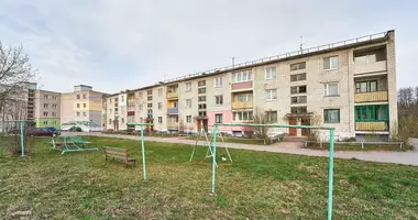 Appartement 2 chambres dans Usyazh, Biélorussie