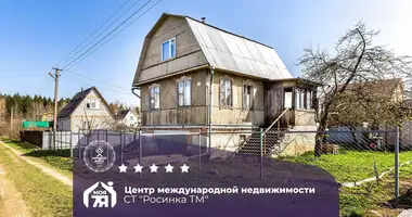 House in Piatryskauski sielski Saviet, Belarus