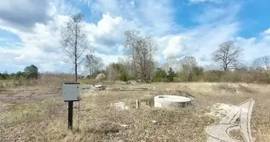 Plot of land in Vielikarycki sielski Saviet, Belarus