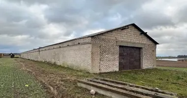 Commercial property 1 176 m² in Gudziunai, Lithuania