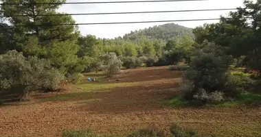 Terrain dans Pyrga, Chypre