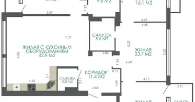 5 room apartment in Minsk, Belarus