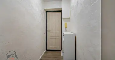 1 room apartment in Minsk, Belarus