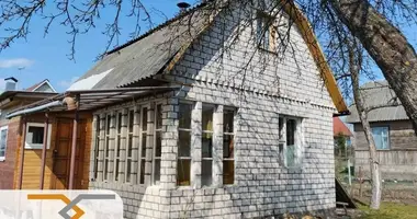 Haus in Alahnovicki selski Savet, Belarus