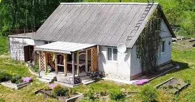 House in Rakauski sielski Saviet, Belarus