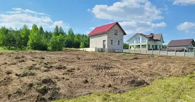 Maison dans Svabski siel ski Saviet, Biélorussie