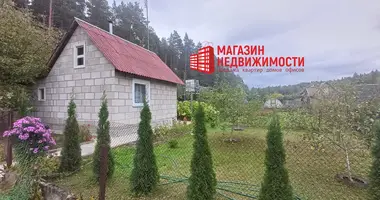 2 room house in Adelski sielski Saviet, Belarus