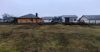 Maison dans Rybna, Biélorussie