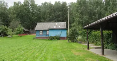 House in Kopisca, Belarus