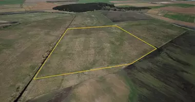 Plot of land in Naujasis Tarpupis, Lithuania