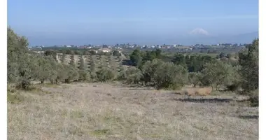 Производство в Сикамино, Греция