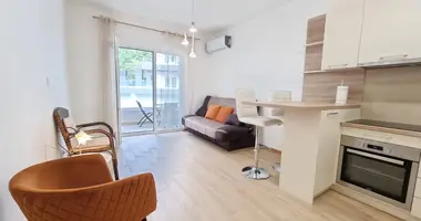 Apartamento con Jardín, con Vista del patio, con aparcamiento público en Budva, Montenegro