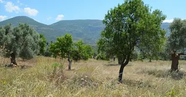 Terrain dans Gymno, Grèce