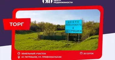 Plot of land in Pyatryshki, Belarus