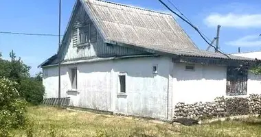 House in Zagorodskiy selskiy Sovet, Belarus