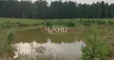 Plot of land in Kuzhutskiy selsovet, Russia